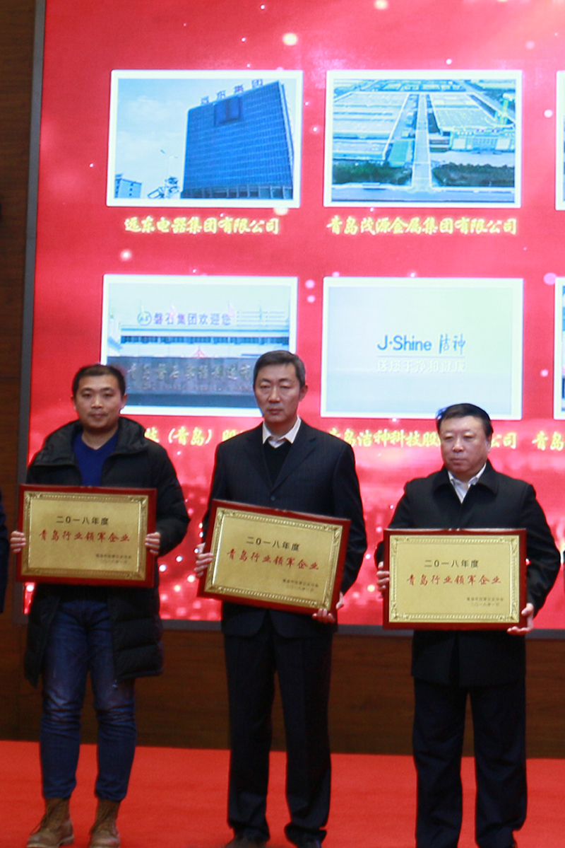 民營企業(yè)高質(zhì)量發(fā)展，德才集團再獲殊榮領(lǐng)跑民企(圖6)
